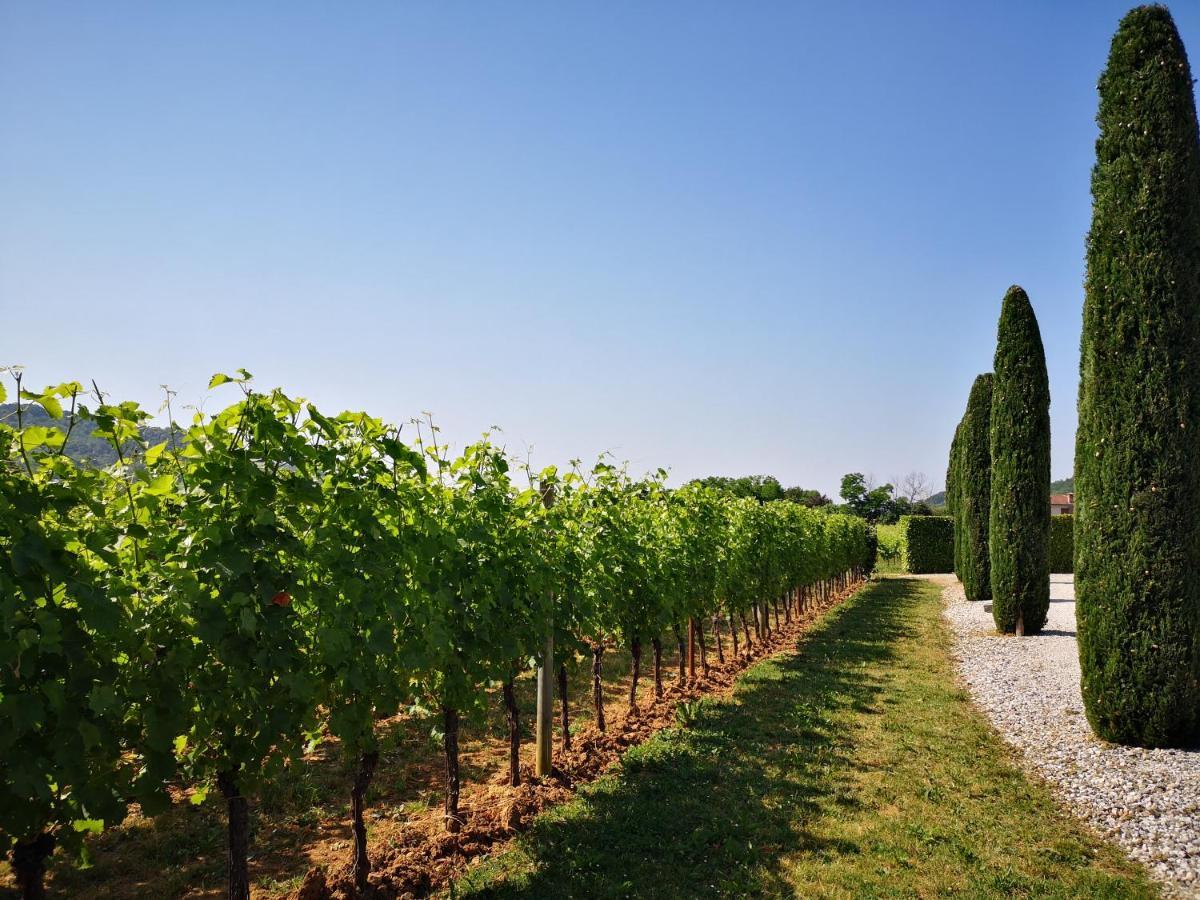 Pizzulin - Wine & Living Villa Prepotto  Dış mekan fotoğraf