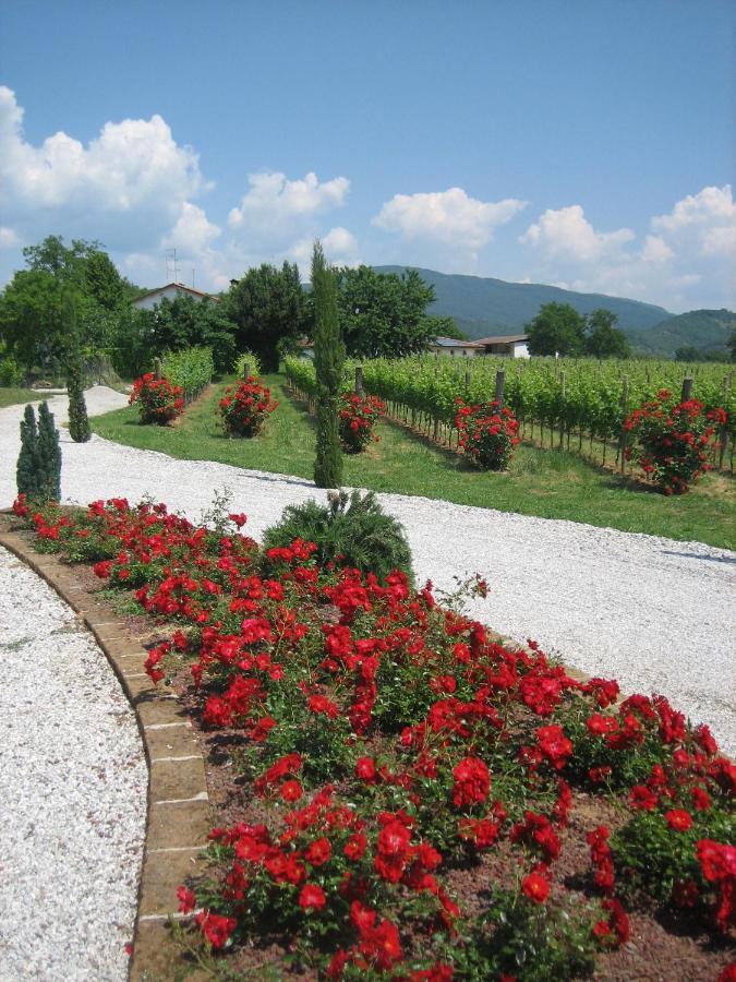 Pizzulin - Wine & Living Villa Prepotto  Dış mekan fotoğraf