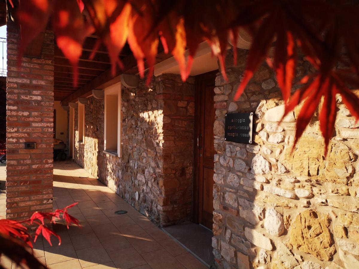 Pizzulin - Wine & Living Villa Prepotto  Dış mekan fotoğraf