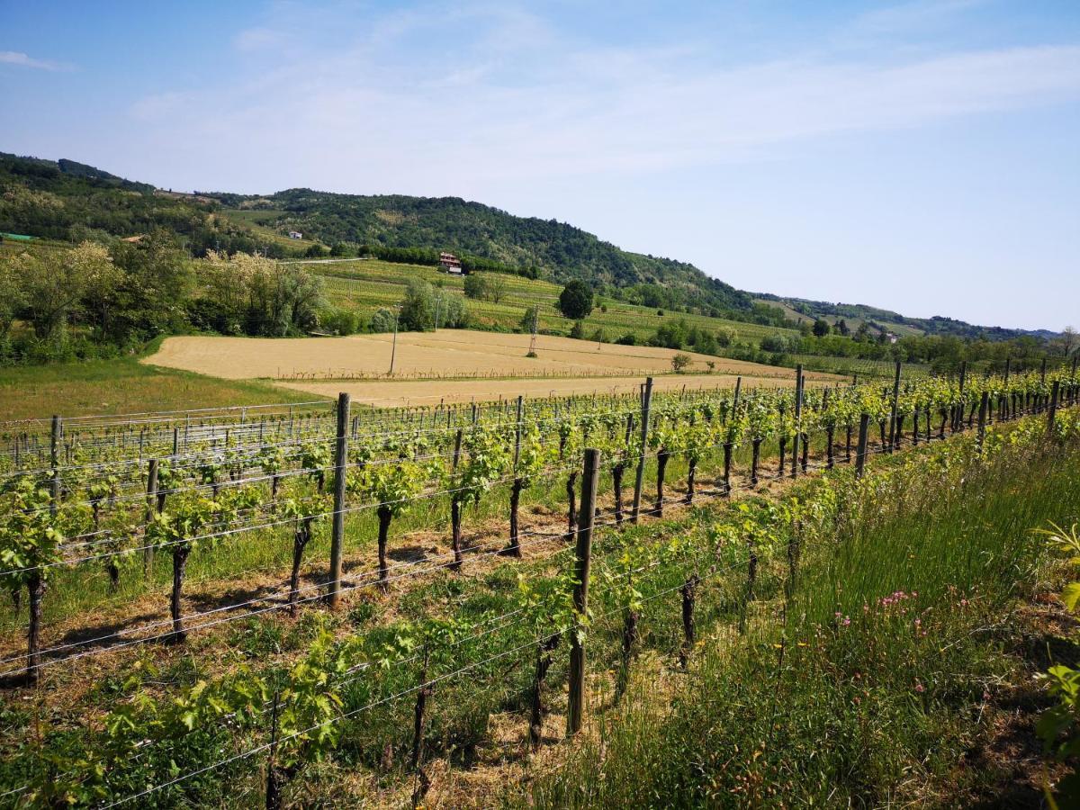 Pizzulin - Wine & Living Villa Prepotto  Dış mekan fotoğraf