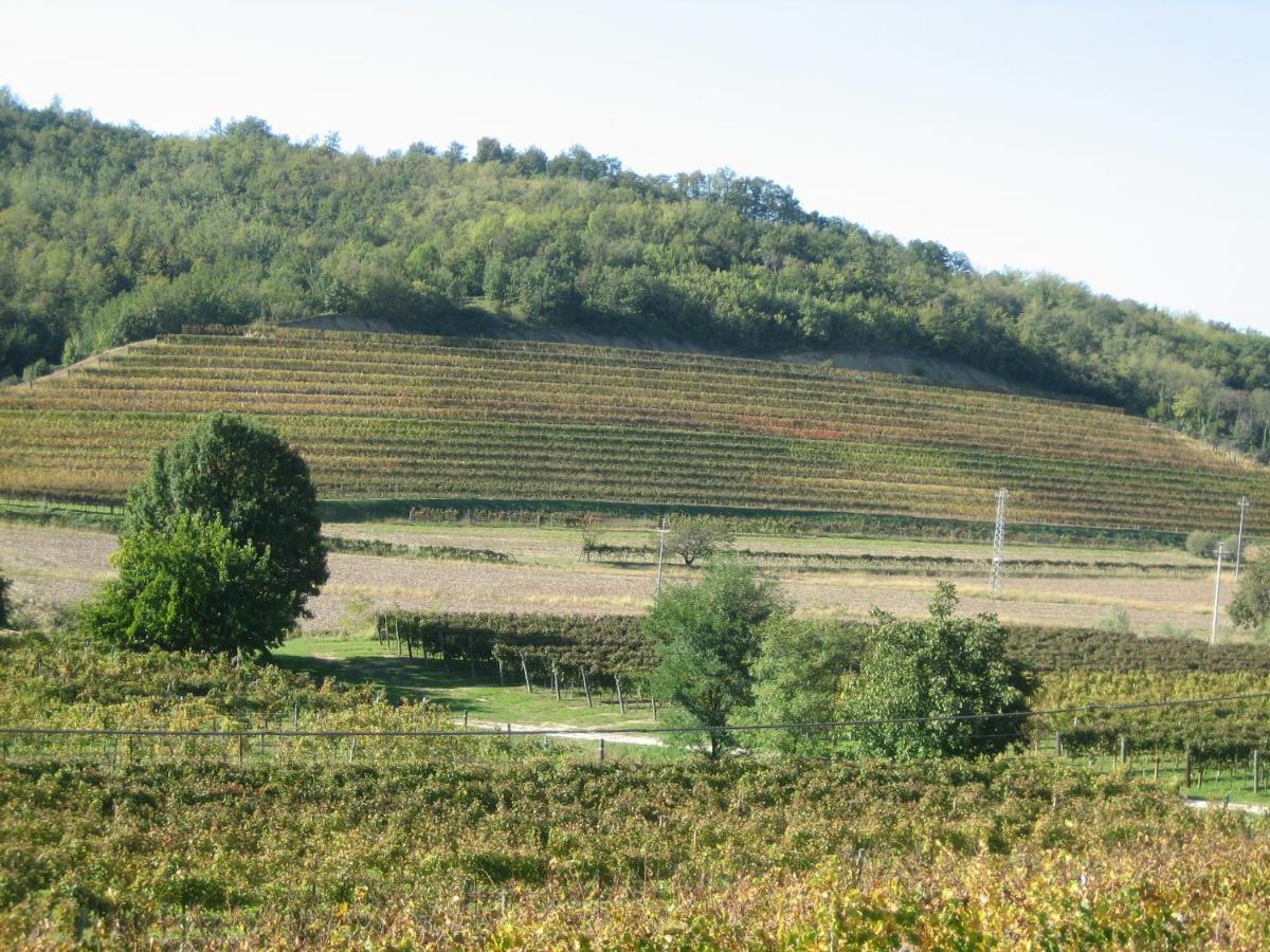 Pizzulin - Wine & Living Villa Prepotto  Dış mekan fotoğraf